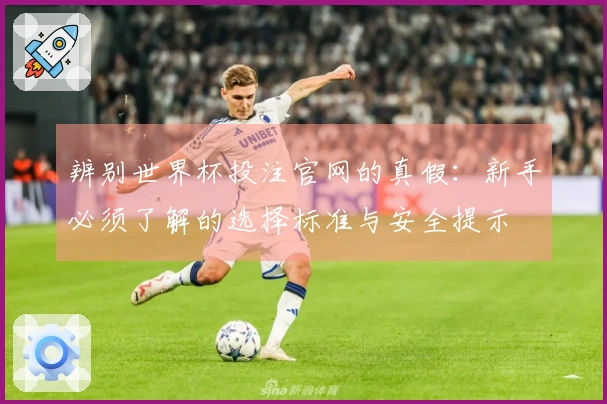 辨别世界杯投注官网的真假：新手必须了解的选择标准与安全提示