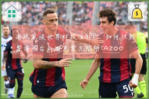 老玩家谈世界杯投注APP：如何识别靠谱平台和避免常见陷阱