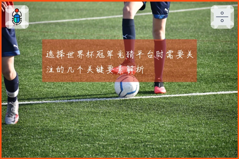 选择世界杯冠军竞猜平台时需要关注的几个关键要素解析