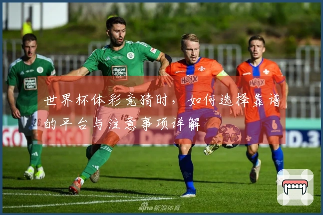世界杯体彩竞猜时，如何选择靠谱的平台与注意事项详解