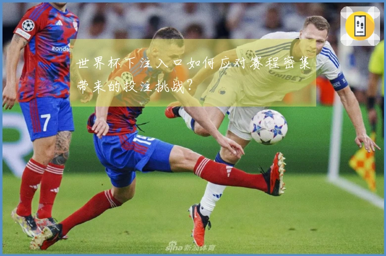 世界杯下注入口如何应对赛程密集带来的投注挑战？