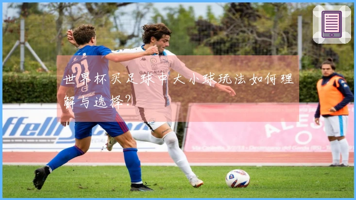 世界杯买足球中大小球玩法如何理解与选择？