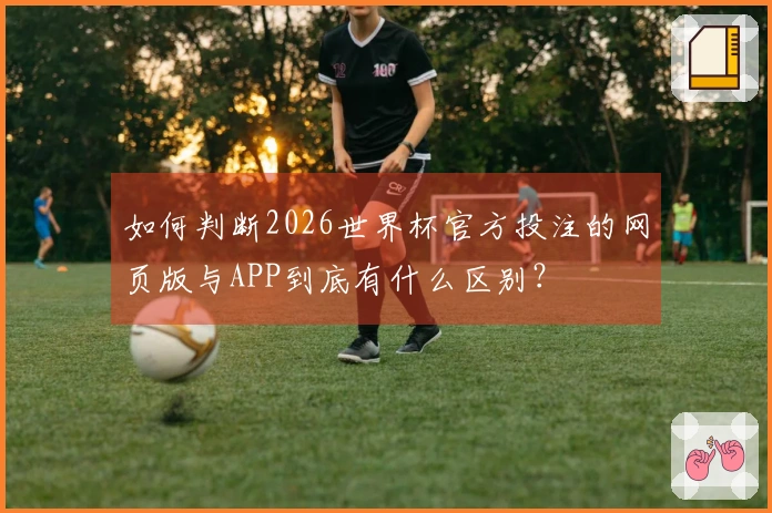 如何判断2026世界杯官方投注的网页版与APP到底有什么区别？