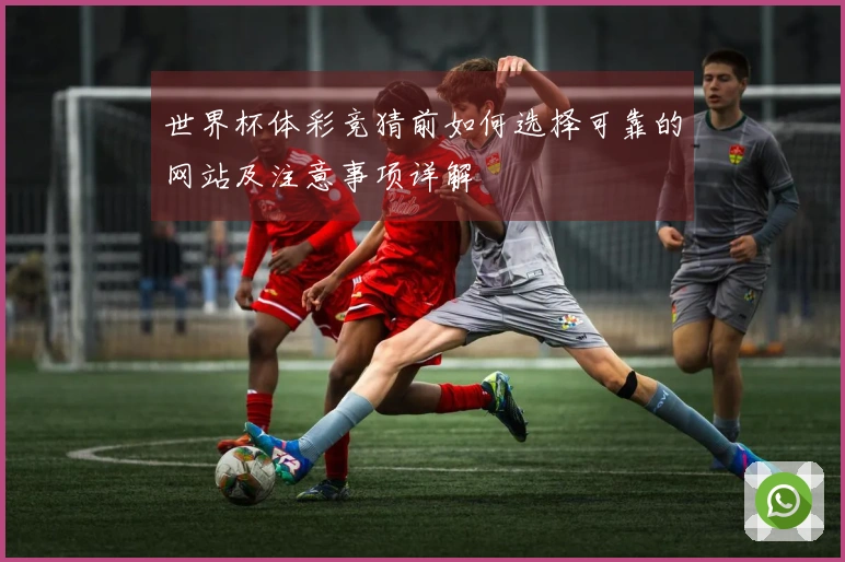 世界杯体彩竞猜前如何选择可靠的网站及注意事项详解