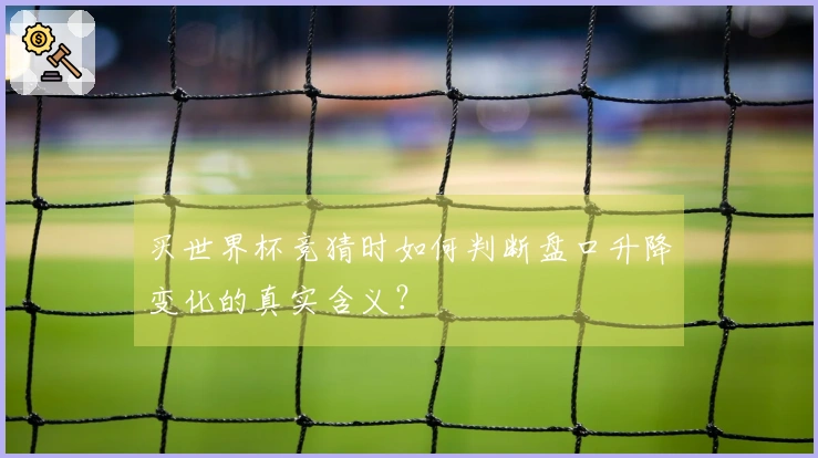 买世界杯竞猜时如何判断盘口升降变化的真实含义？
