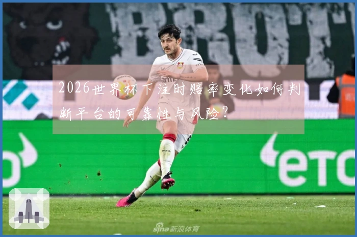 2026世界杯下注时赔率变化如何判断平台的可靠性与风险？