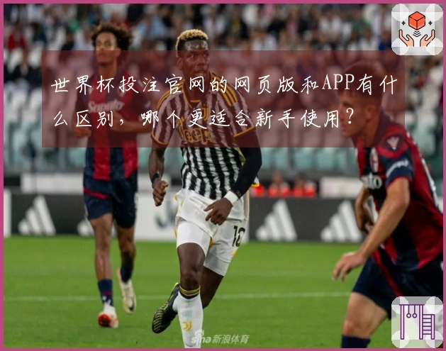 世界杯投注官网的网页版和APP有什么区别，哪个更适合新手使用？