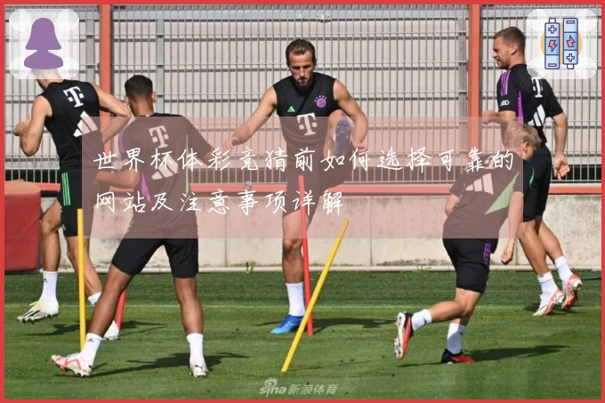 世界杯体彩竞猜前如何选择可靠的网站及注意事项详解