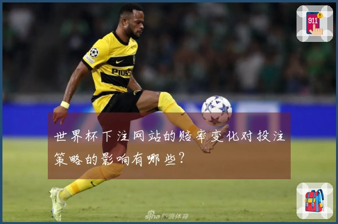 世界杯下注网站的赔率变化对投注策略的影响有哪些？