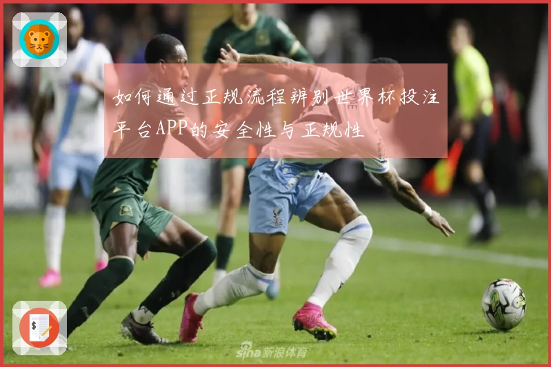 如何通过正规流程辨别世界杯投注平台APP的安全性与正规性