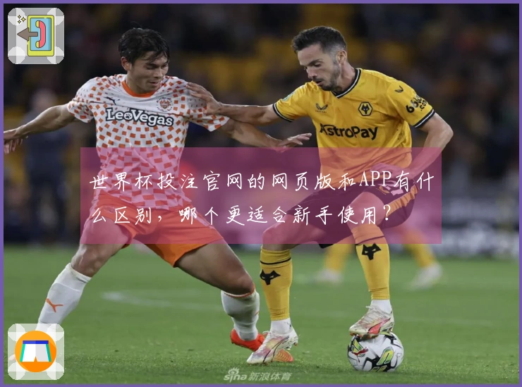 世界杯投注官网的网页版和APP有什么区别，哪个更适合新手使用？