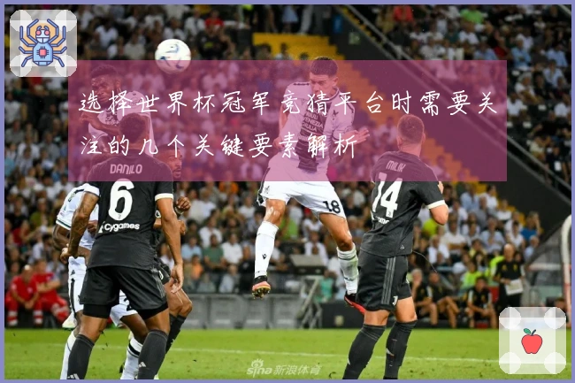 选择世界杯冠军竞猜平台时需要关注的几个关键要素解析