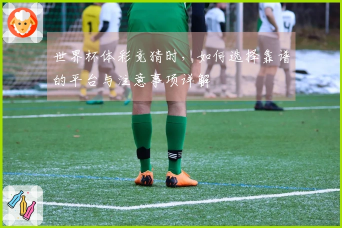 世界杯体彩竞猜时，如何选择靠谱的平台与注意事项详解