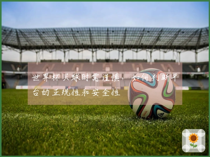 世界杯买球时需谨慎，如何判断平台的正规性和安全性