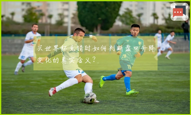 买世界杯竞猜时如何判断盘口升降变化的真实含义？