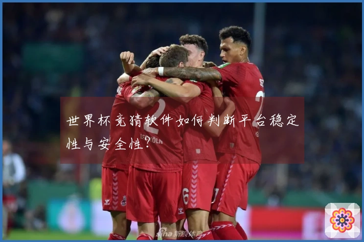世界杯竞猜软件如何判断平台稳定性与安全性？