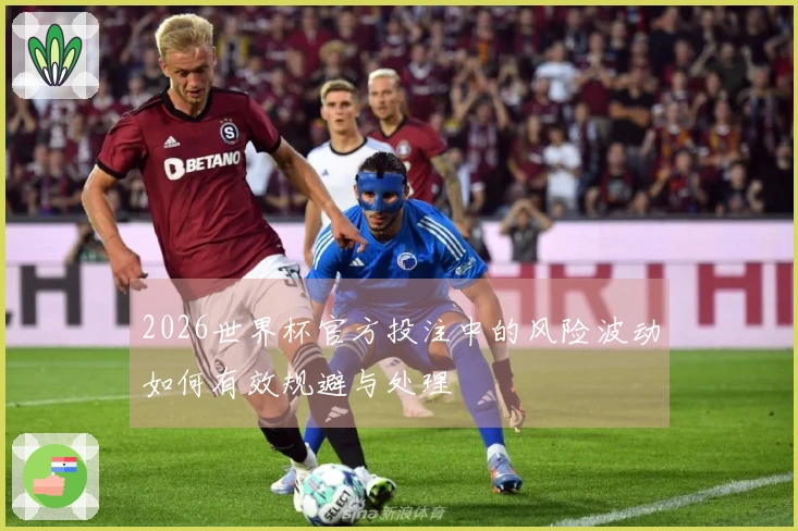 2026世界杯官方投注中的风险波动如何有效规避与处理